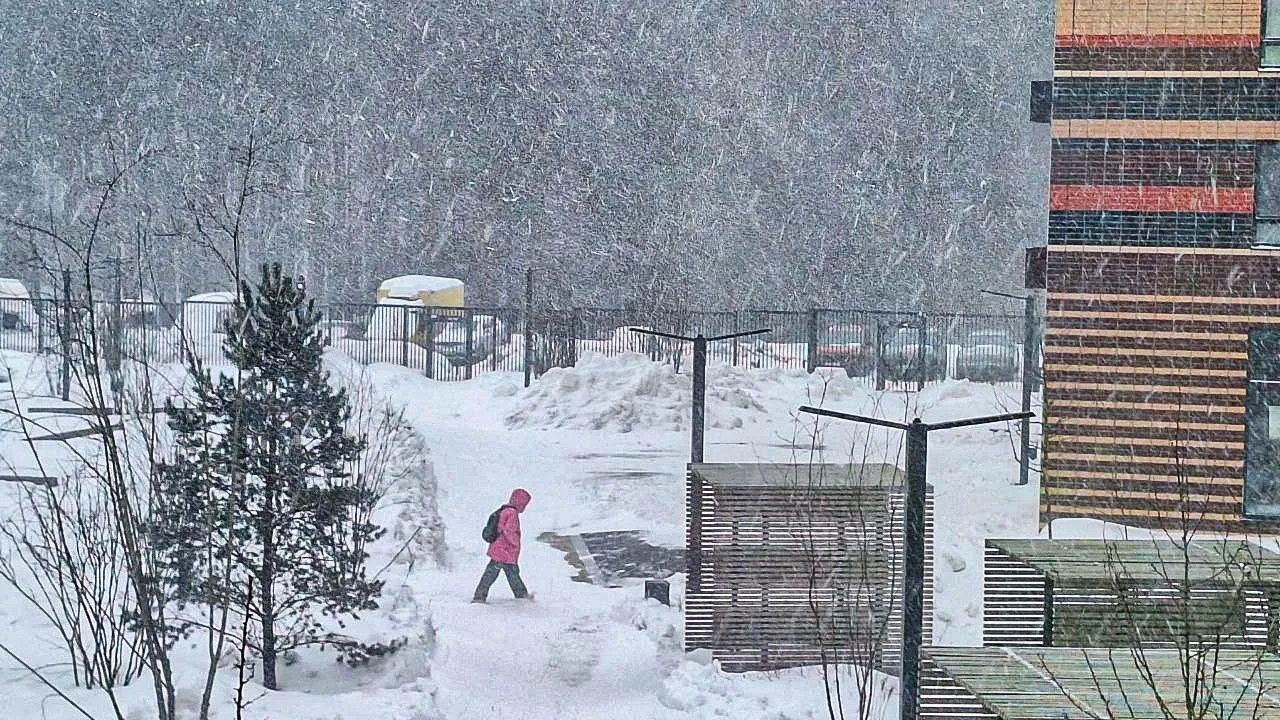 REGIONS/Катерина Антохина