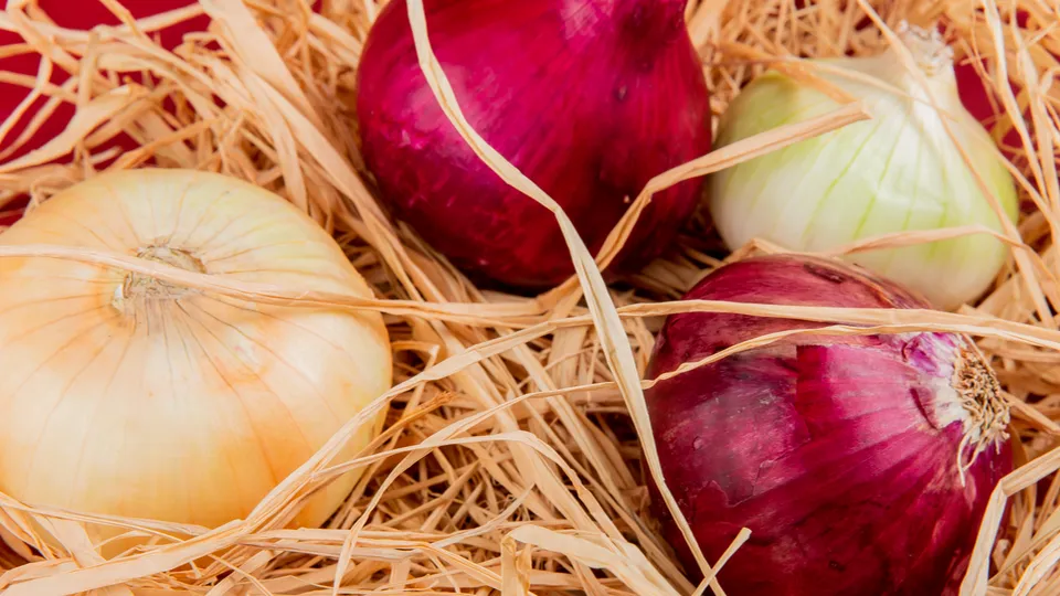 Фото: freepik.com