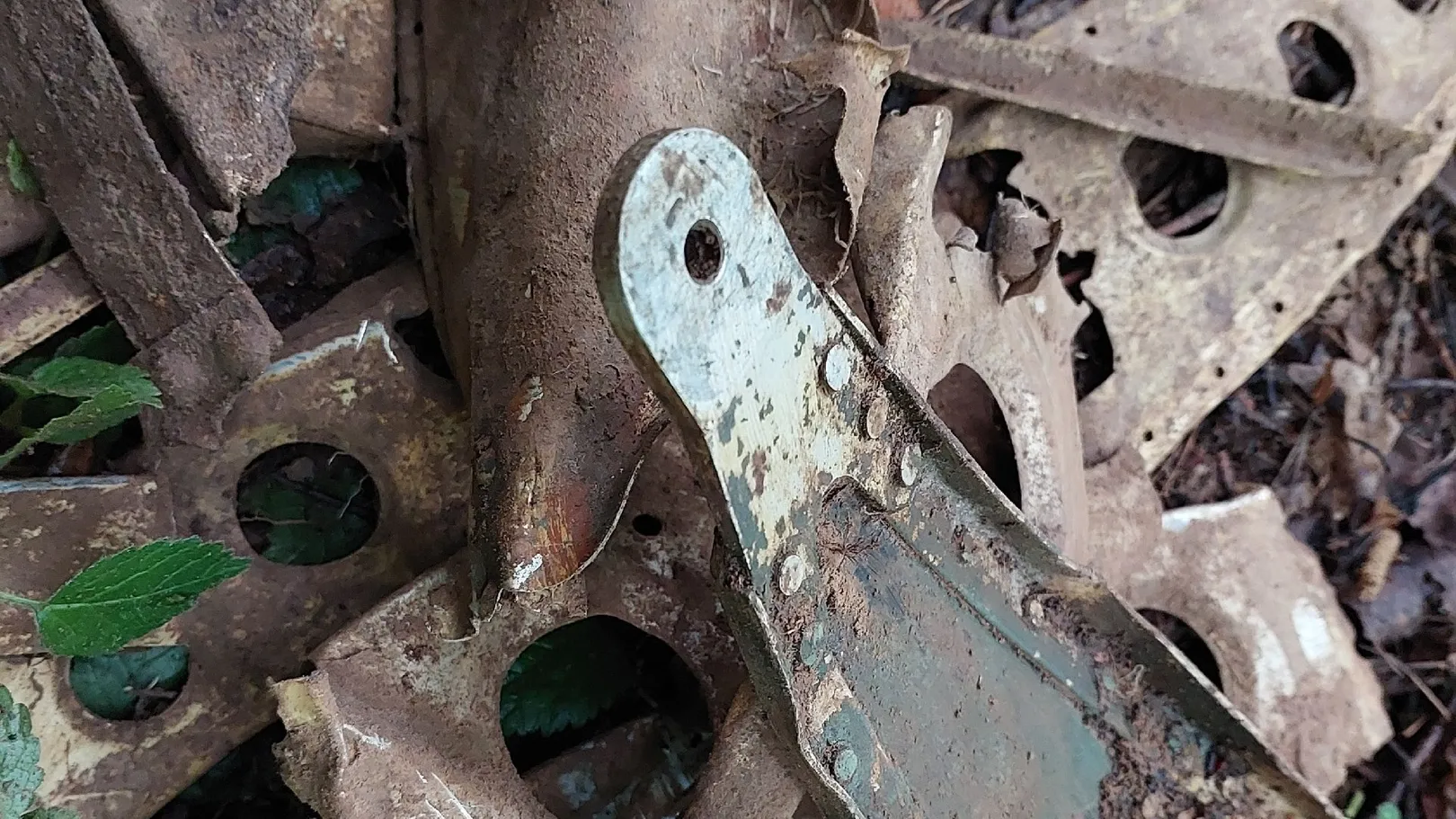 Фото: поисковый отряд «БУМЕРАНГ - ДОСААФ»