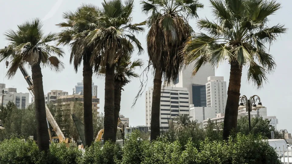 Фото: ТАСС/Александр Щербак