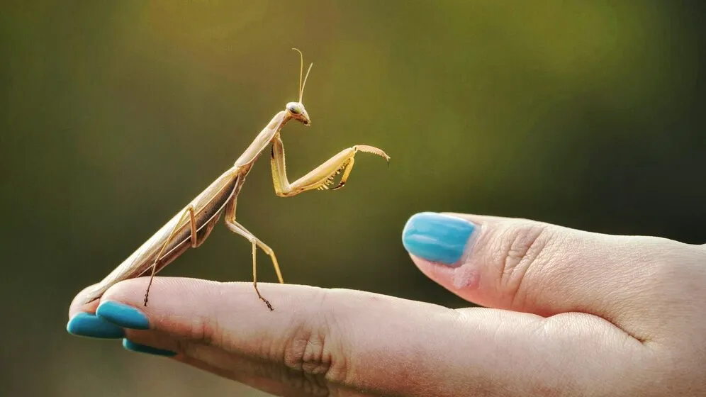 Фото: freepik.com