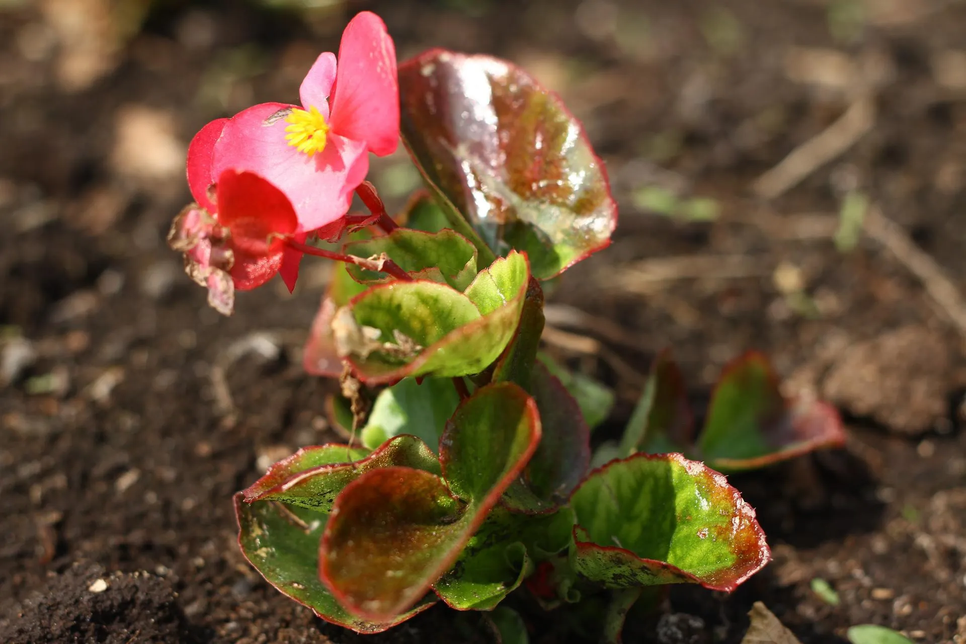 «Навстречу солнцу» - фото-победитель. Никита Волков