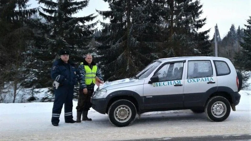 В Волоколамском лесничестве рассказали об итогах профилактического мероприятия «Елочка»