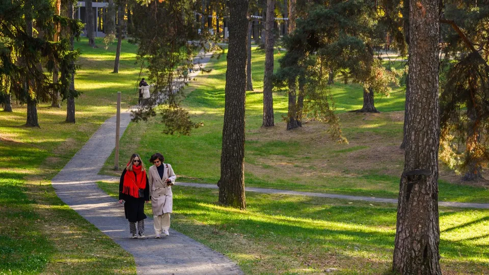 Фото: медиасток.рф