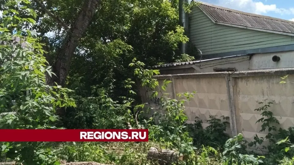 Фото: пресс-служба администрации городского округа Луховицы
