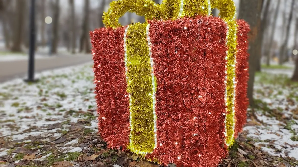 Фото: REGIONS/Алексей Селиверстов