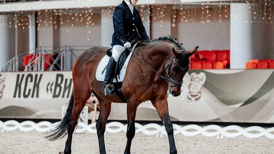 Фото: t.me/shorBelka