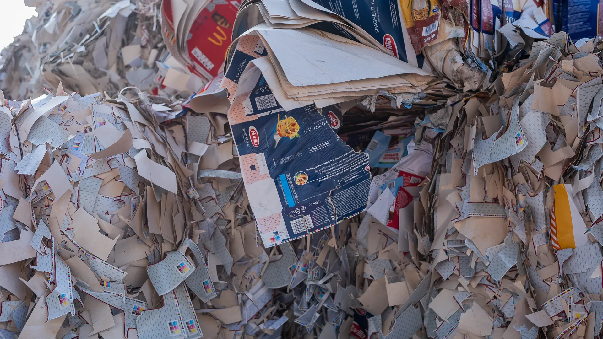 АО «СОЭМЗ»: сбор макулатуры