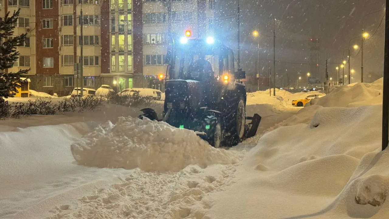 Фото: Полина Абраменко