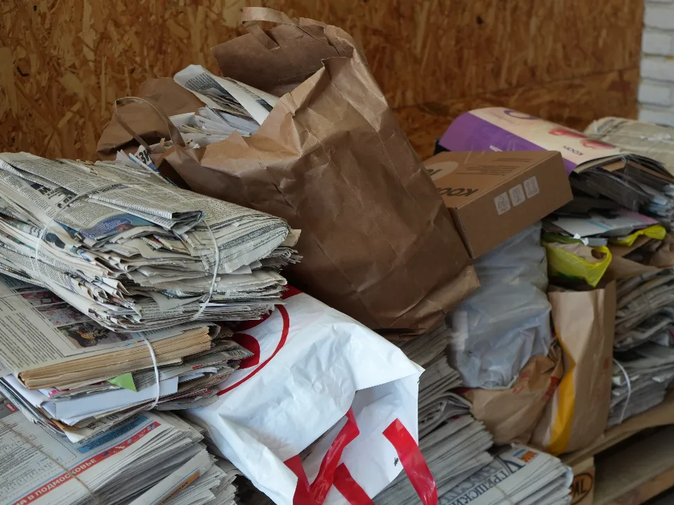 Фото: МедиаБанк Подмосковья/Мария Юдина