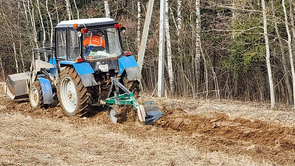 Фото: Андрей Алекин
