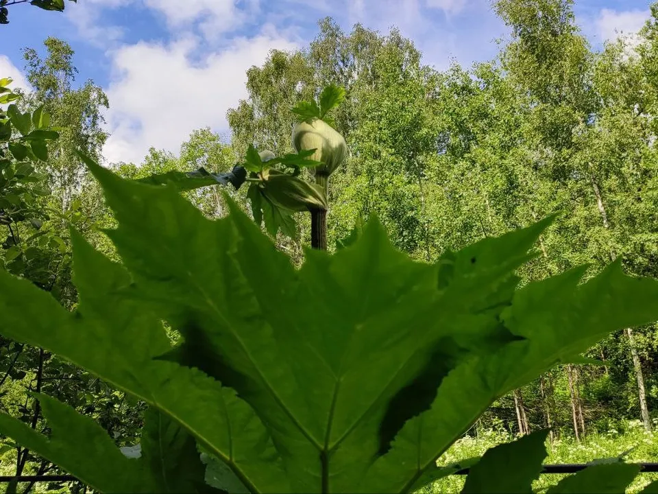 Фото: Елена Забелина