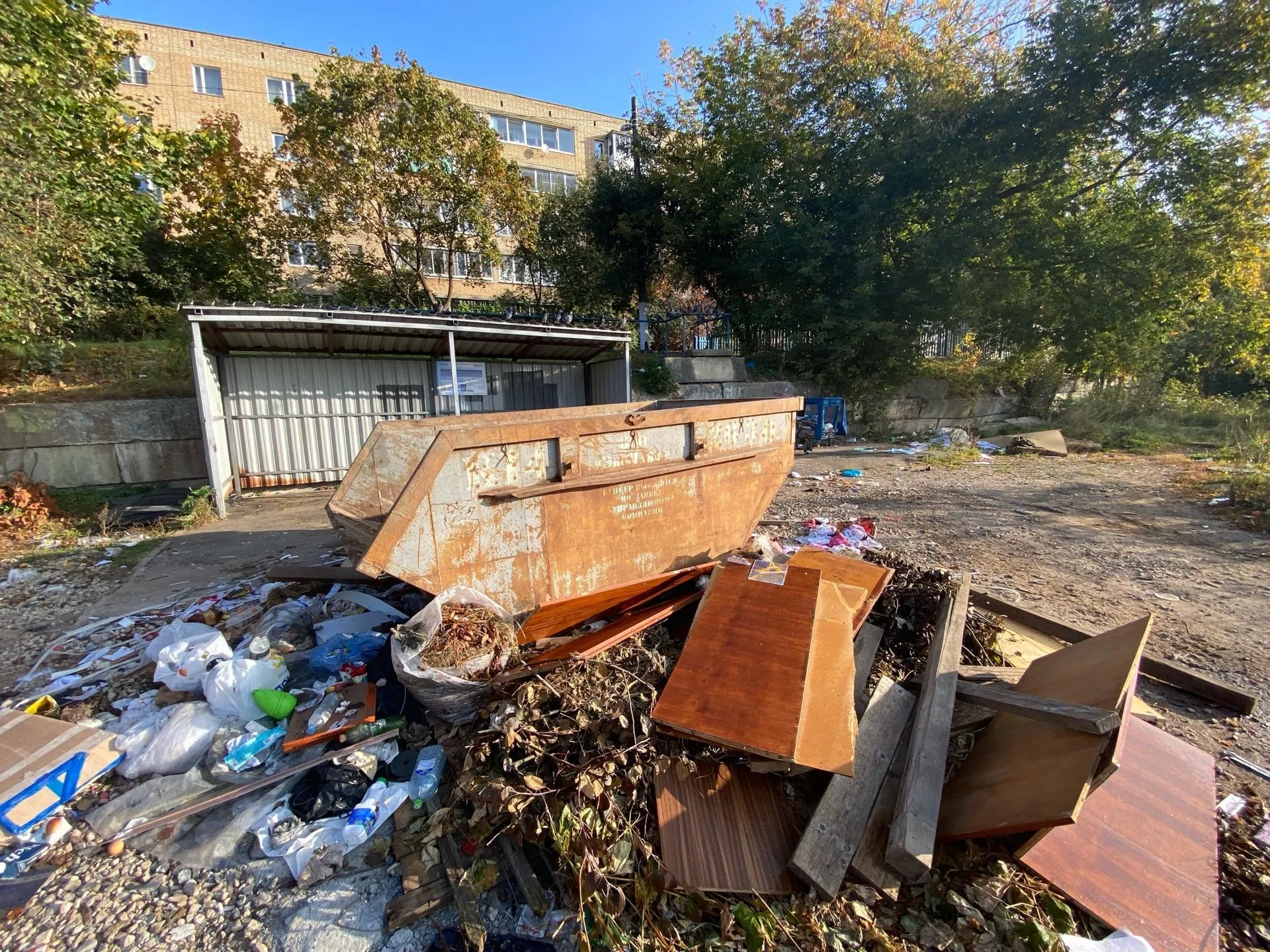 Фото: ТУЧКОВО | online / Вконтакте