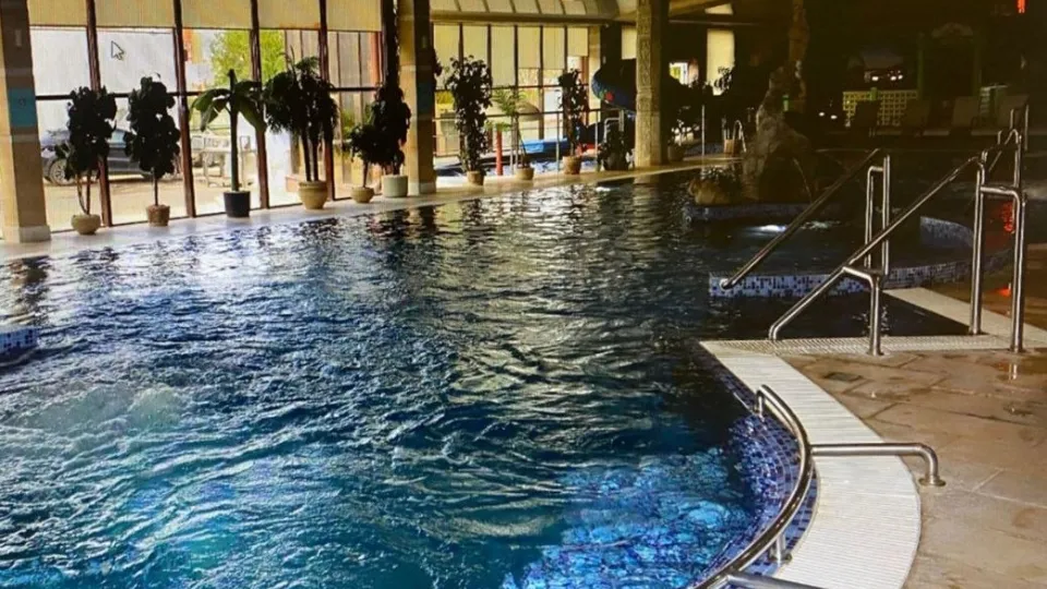 Фото: Прокуратура Московской области