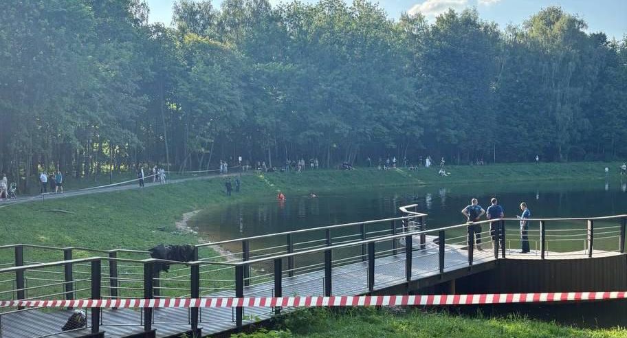 Прокуратура Москвы: в пруду в Вешняках утонул 17-летний подросток