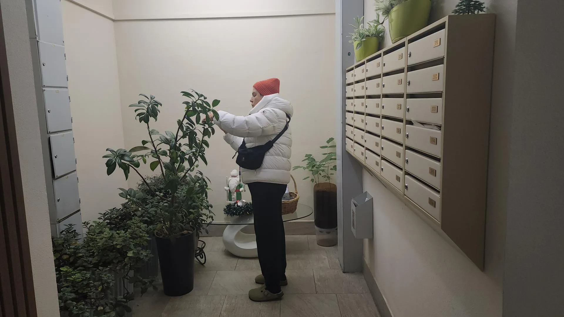 МедиаБанк Подмосковья/Наталья Лымарь