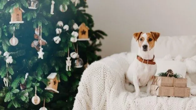 медиасток.рф