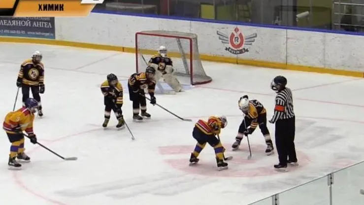 Источник фото: управление по физической культуре и спорту администрации г.о. Электросталь