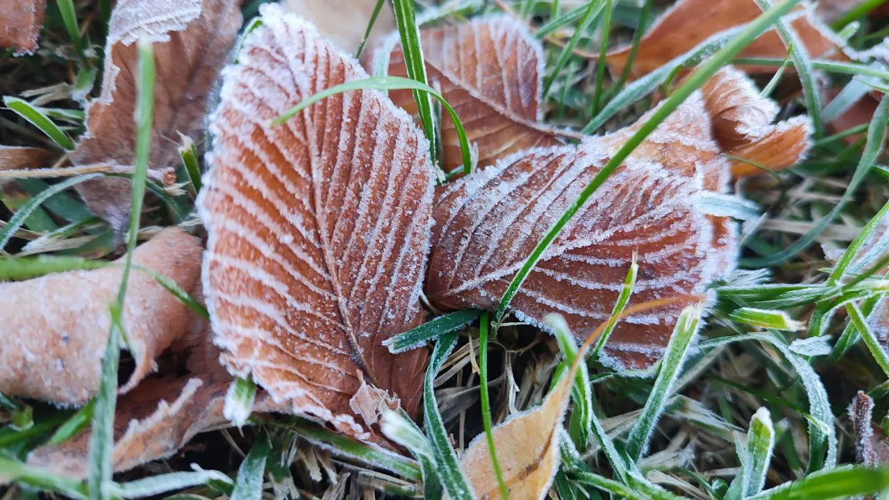 Фото: REGIONS/Елена Забелина