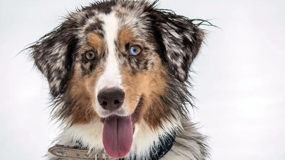 Фото: unsplash.com