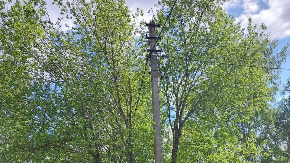 Фото: пресс-служба администрации м.о. Шаховская