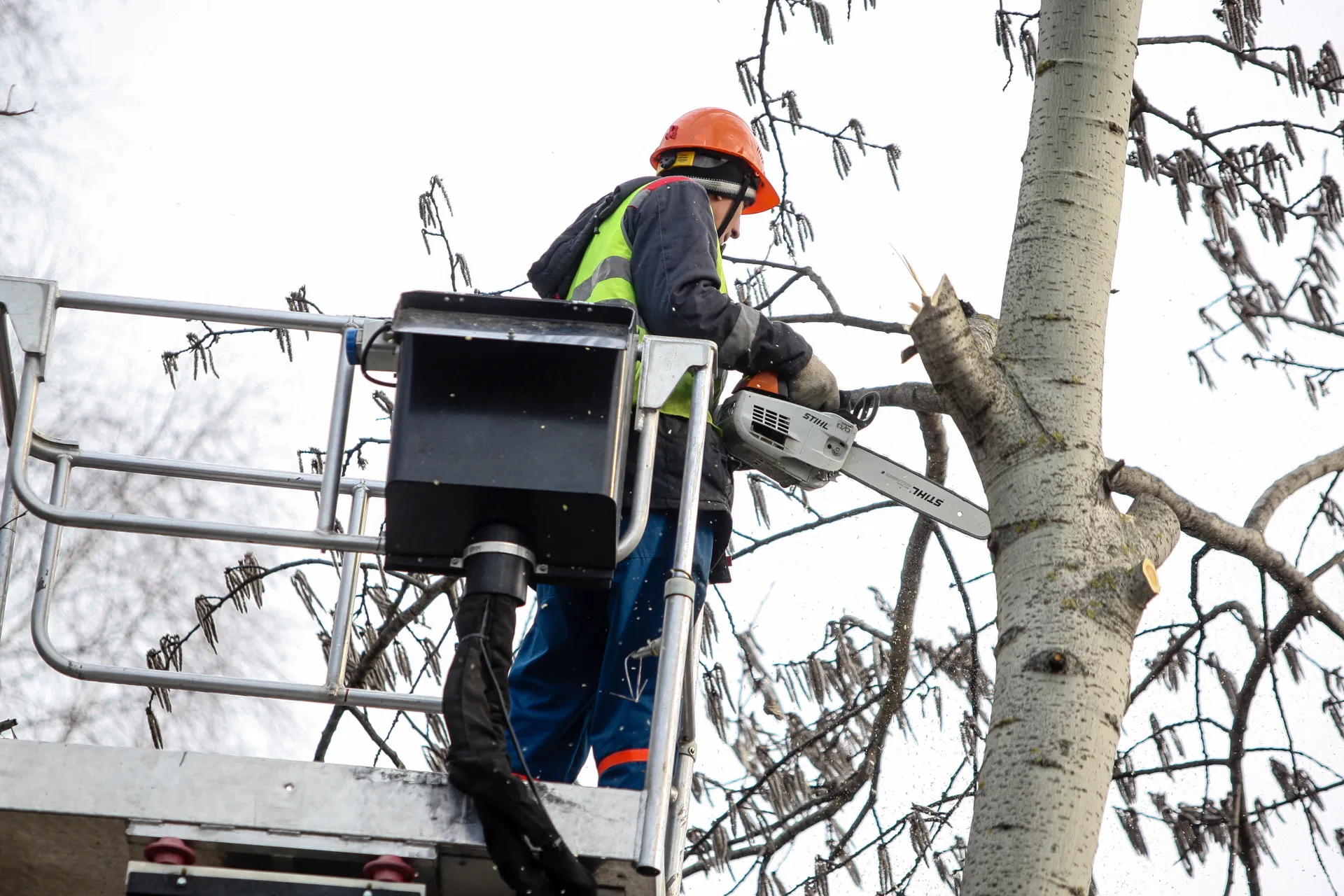 Владимир Лебедев