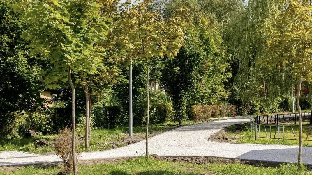 Фото: медиа-центр Орехово-Зуевского г.о.