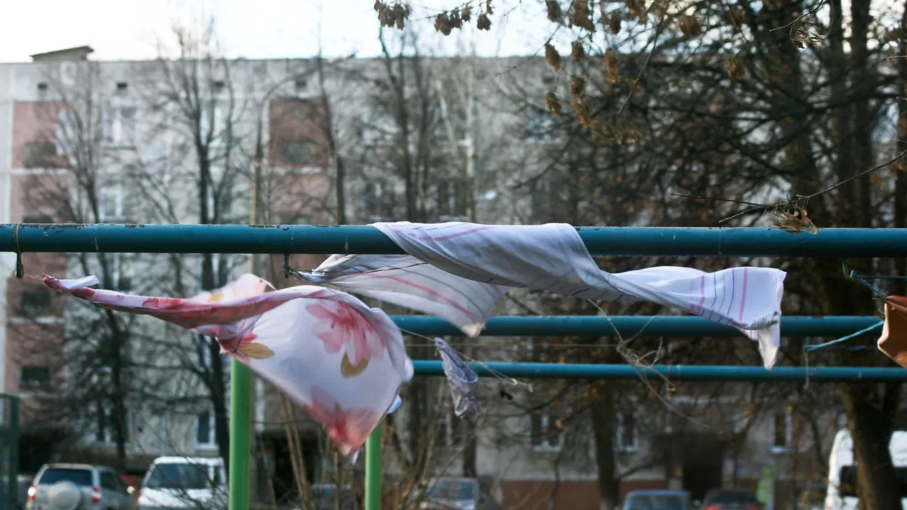 Фото: Медиаархив Подмосковья