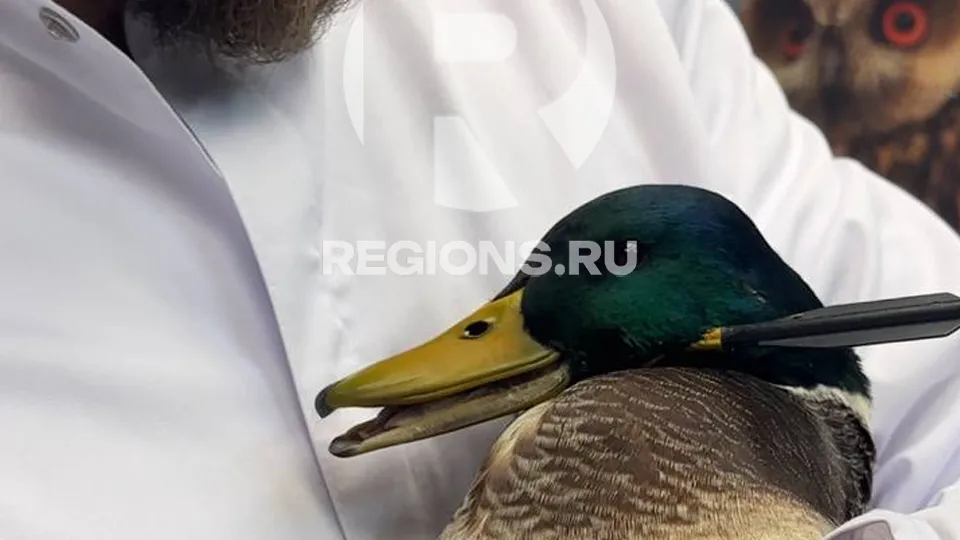 Фото: личный архив Ивана Краснова