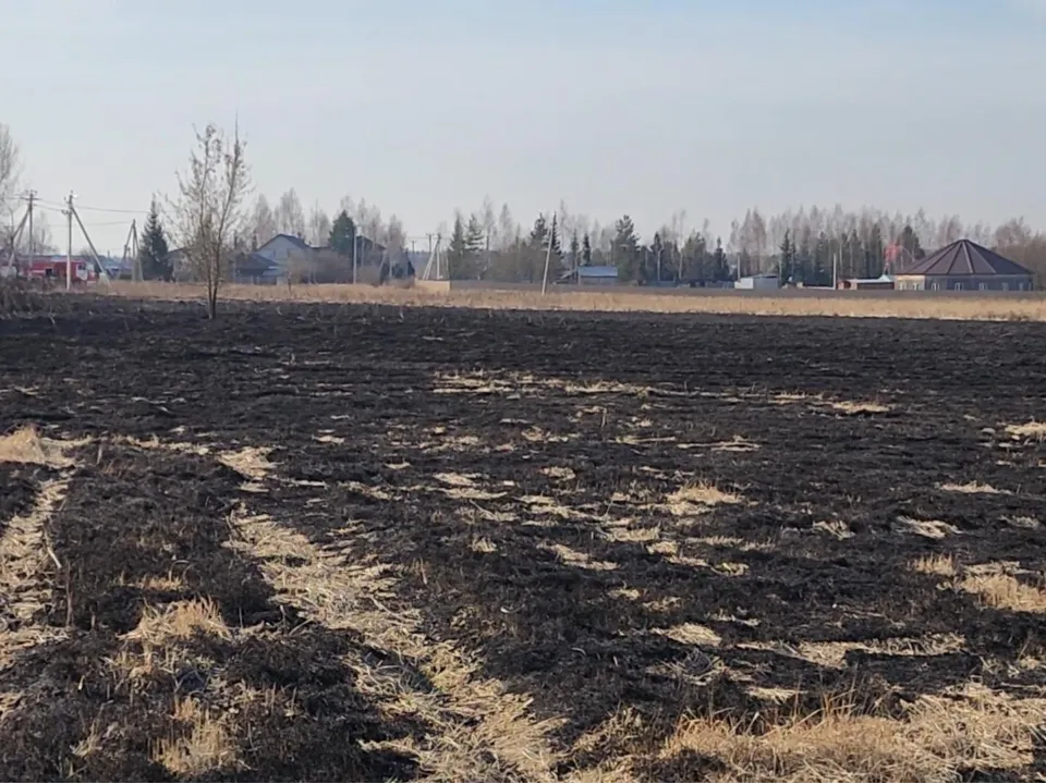 Фото: Ольга Антонова