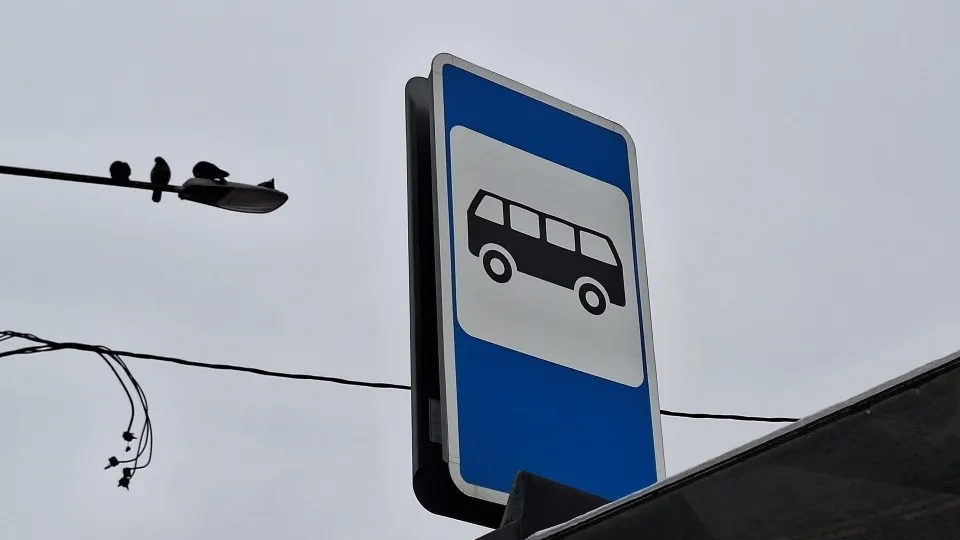 Фото: МедиаБанк Подмосковья/Валерия Тингаева