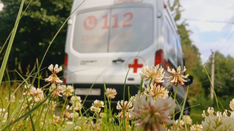 Фото: Министерство здравоохранения Московской области