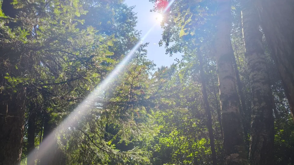 Фото: REGIONS/Елена Шахиджанова