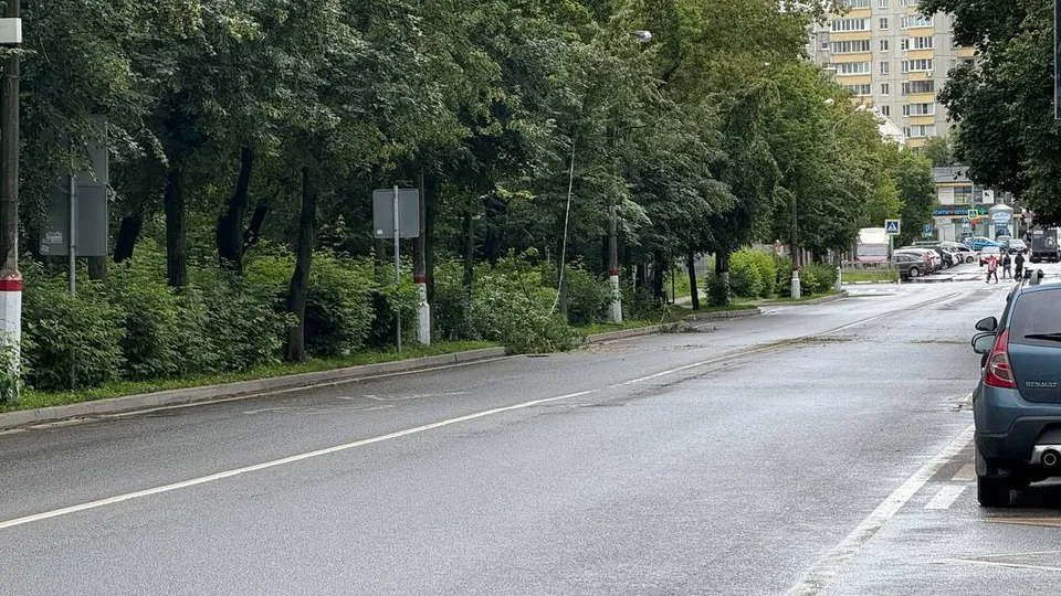 Фото: МЦУР г.о. Жуковский