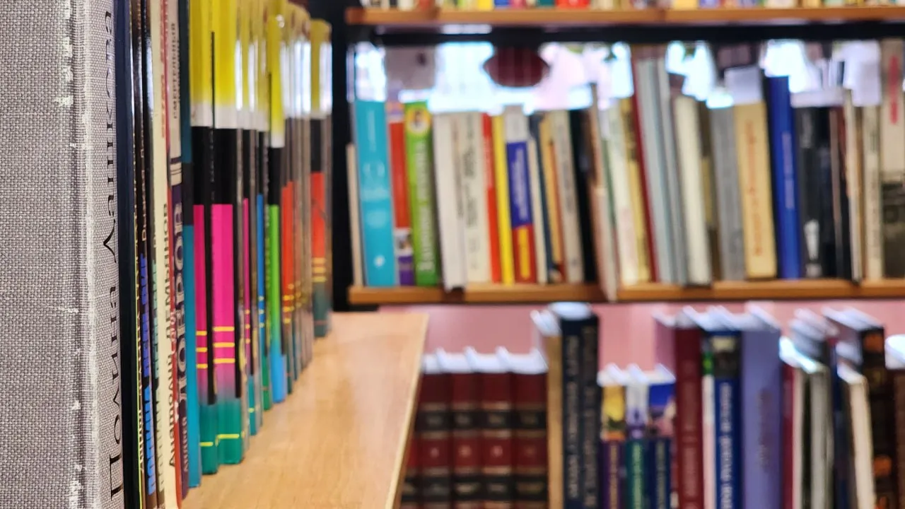 Фото: МедиаБанк Подмосковья/Ксения Пашуто