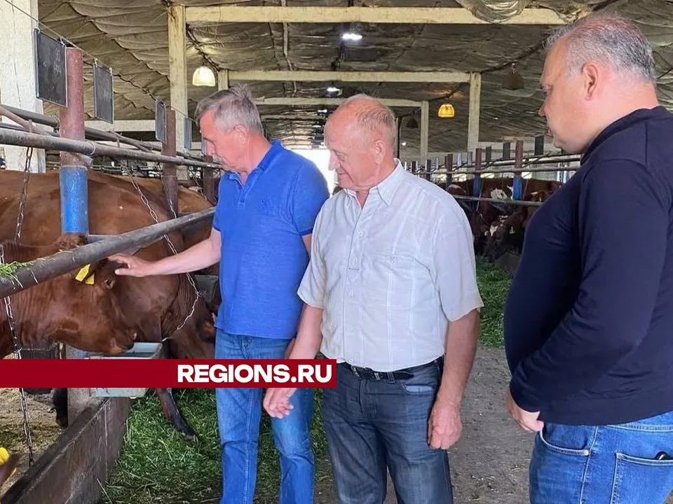 Фото: Светлана Плотникова