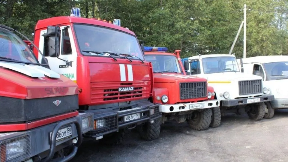 Фото: Комитет лесного хозяйства МО