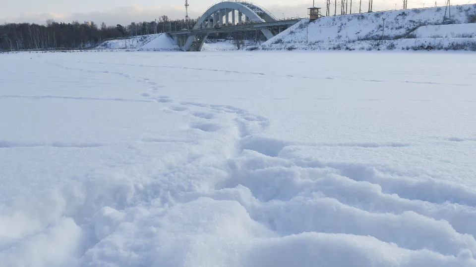 Фото: медиасток.рф