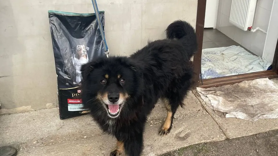 Фото: t.me/AnnaKrotova_Lobnya