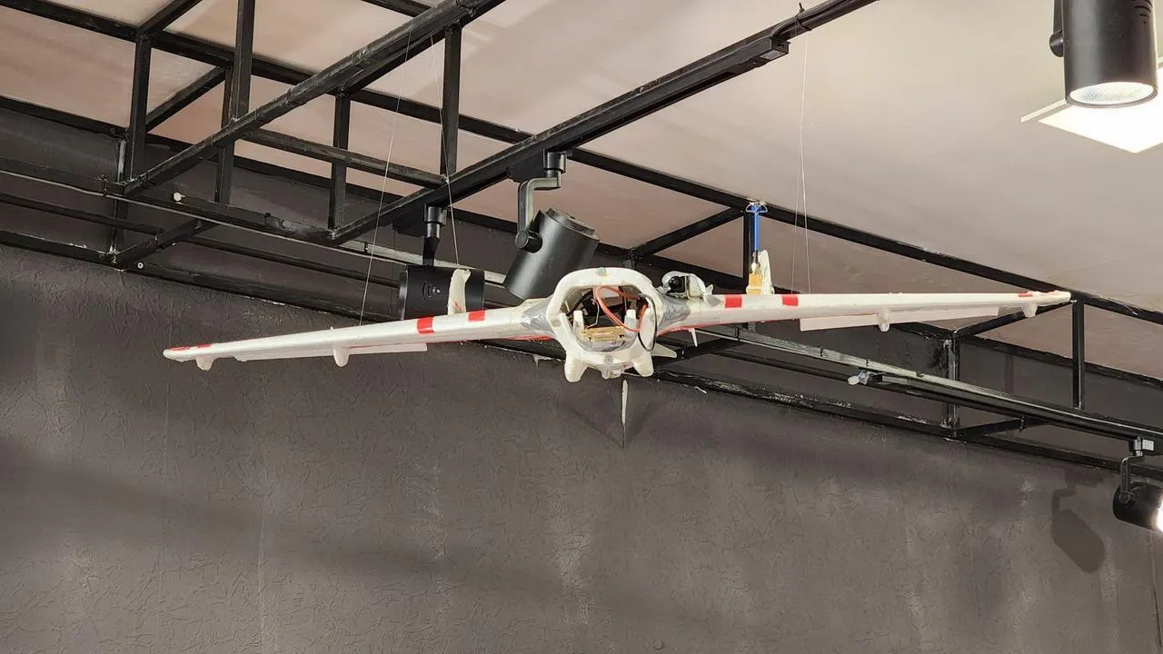 МедиаБанк Подмосковья/Ольга Аввакумова