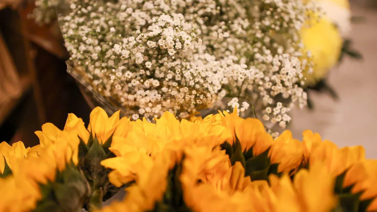 REGIONS/Роман Малышенко