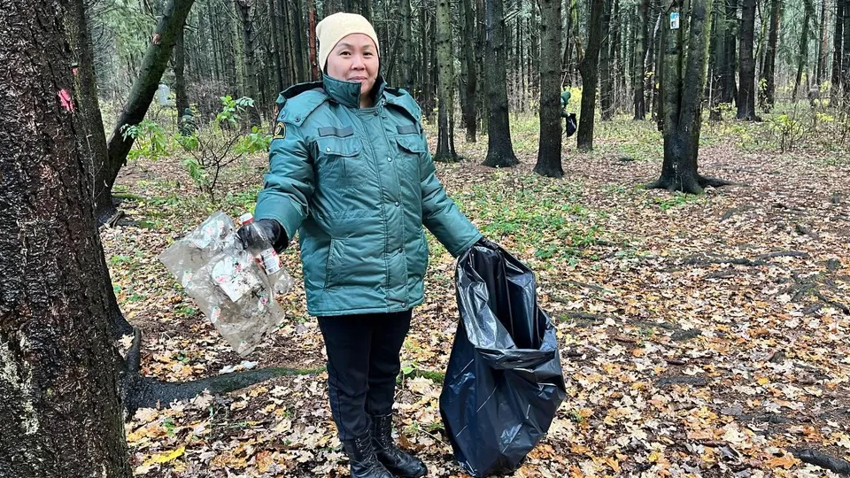 Фото: Комлесхоз Московской области