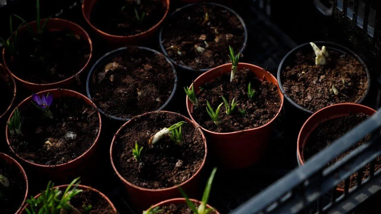 REGIONS/Наталья Надточая