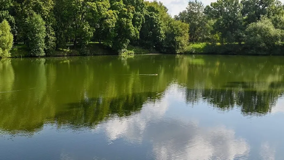 Фото: официальный сайт мэра Москвы