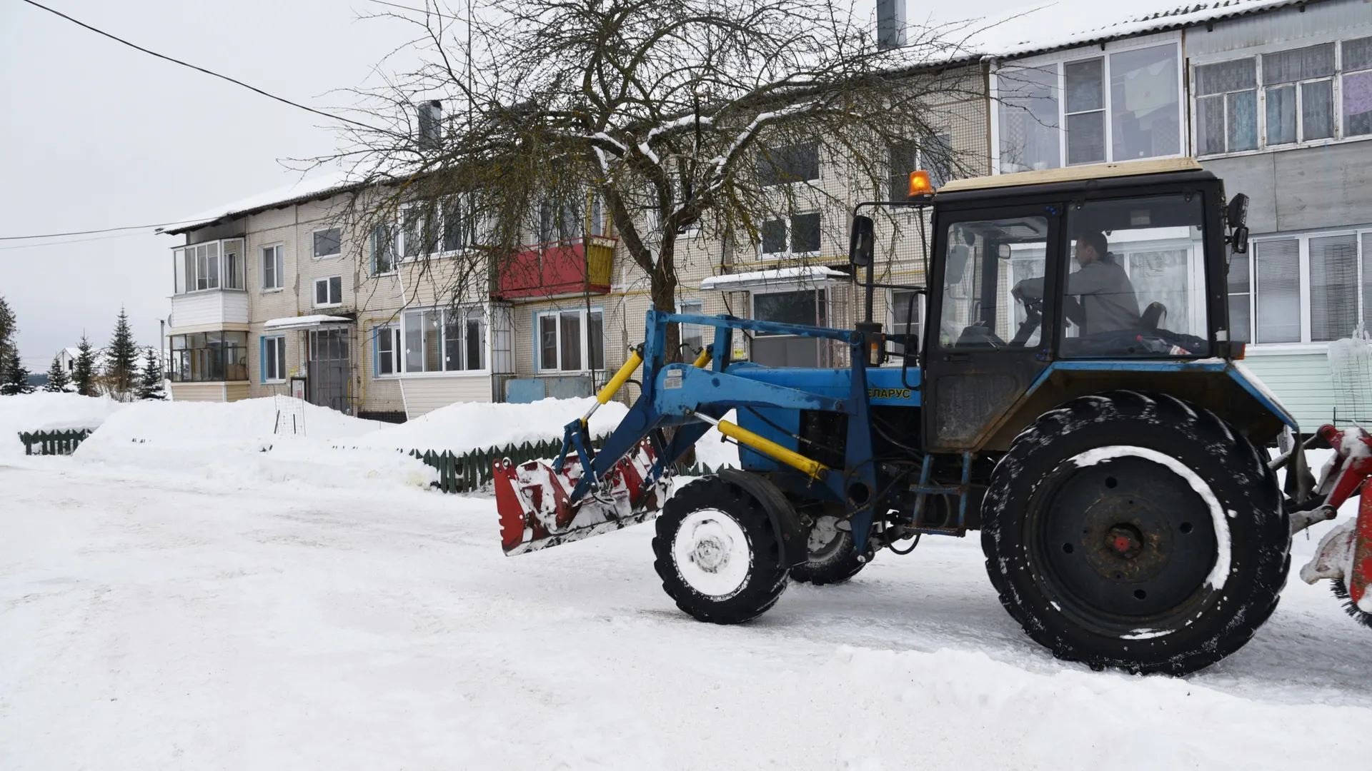 фото: пресс-служба администрации городского округа Лотошино