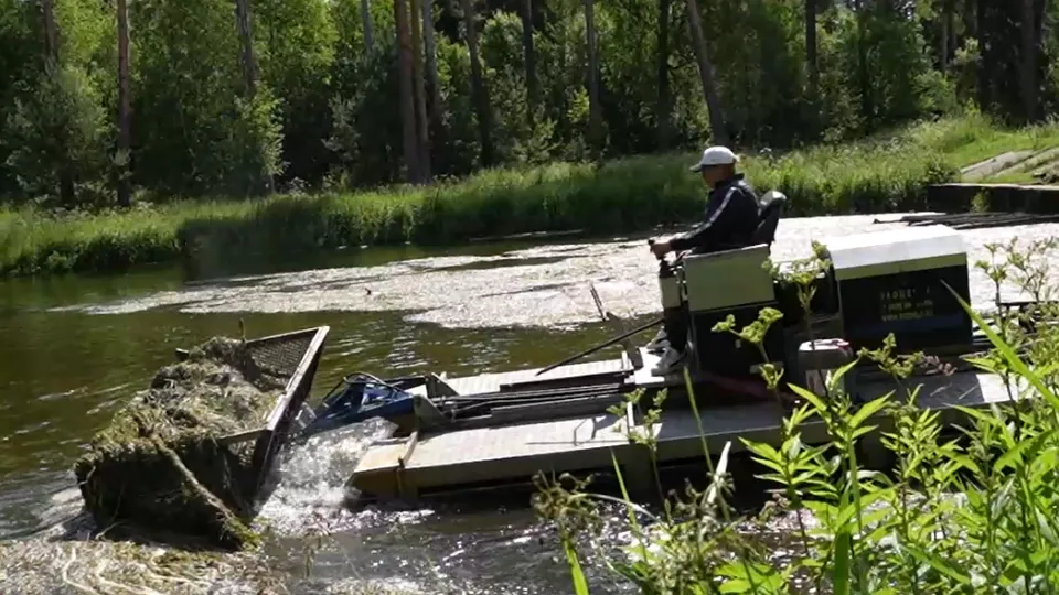 Фото: пресс-служба администрации г. о. Пушкинский