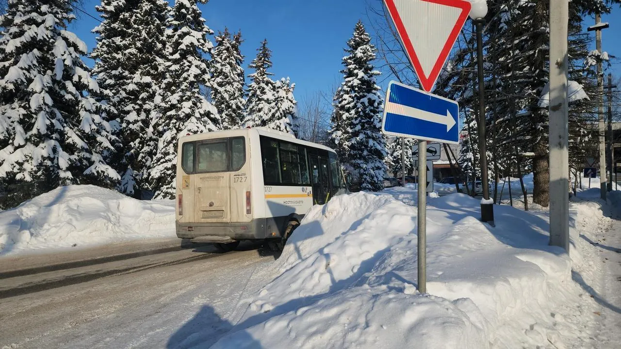 МедиаБанк Подмосковья/Роман Кутузов