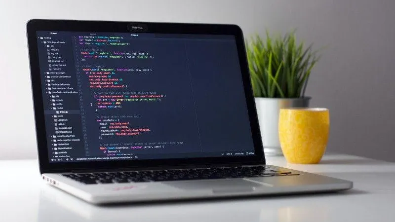 Четыре центра бесплатного обучения в IT-сфере работают в Подмосковье
