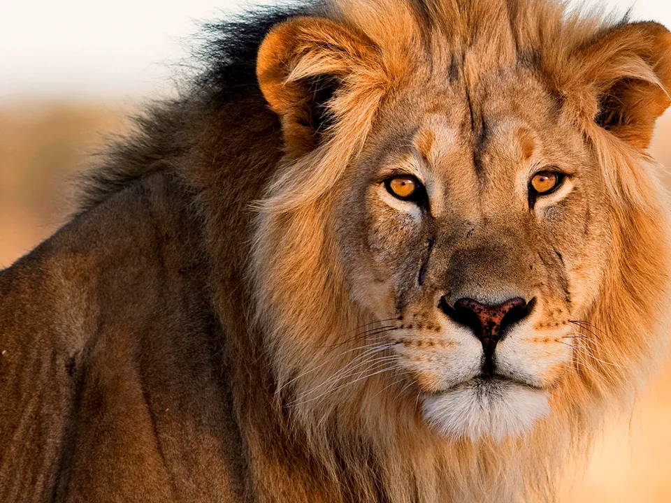 Фото: istockphoto.com