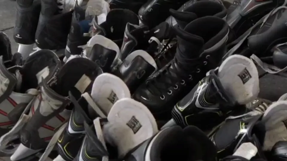 Фото: администрация Богородского г.о.